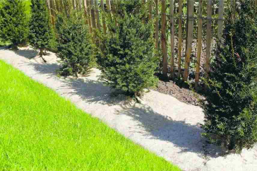 10 conseils sur le paillage - Mon Jardin Ideal