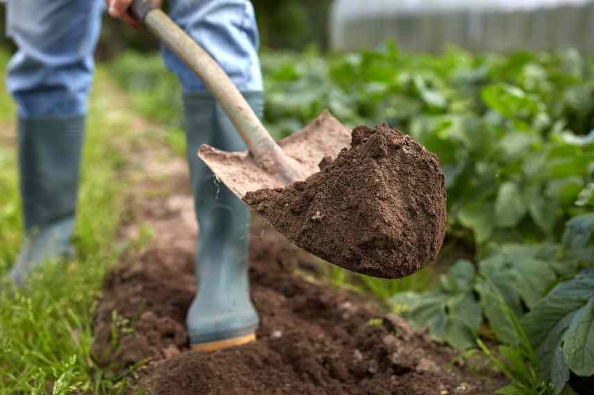 Choisir une pelle de jardin