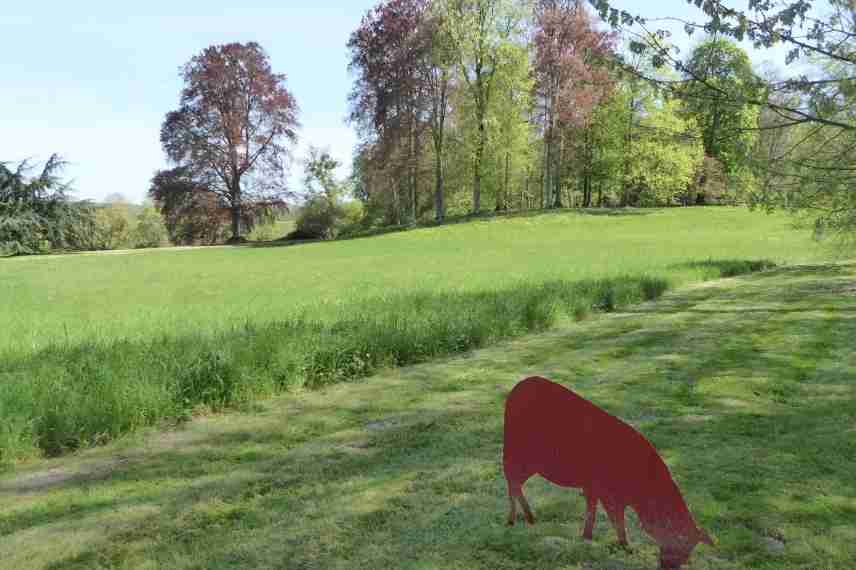 bosquet jardin,bosquet paysager, bosquet nature