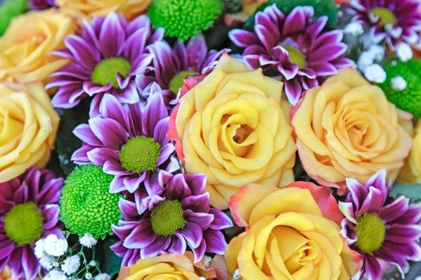 bouquet de roses, bouquet jaune violet