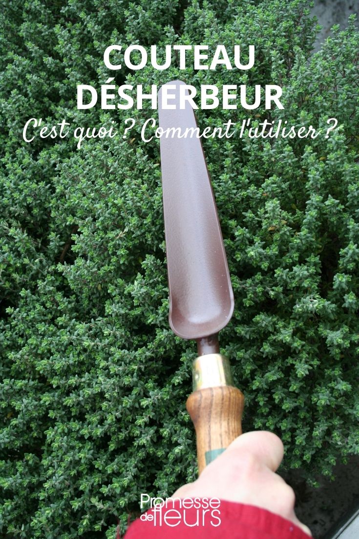 couteau desherbeur