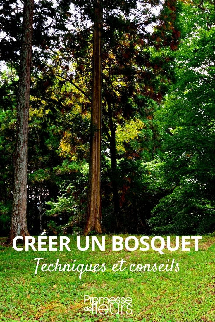 créer un bosquet