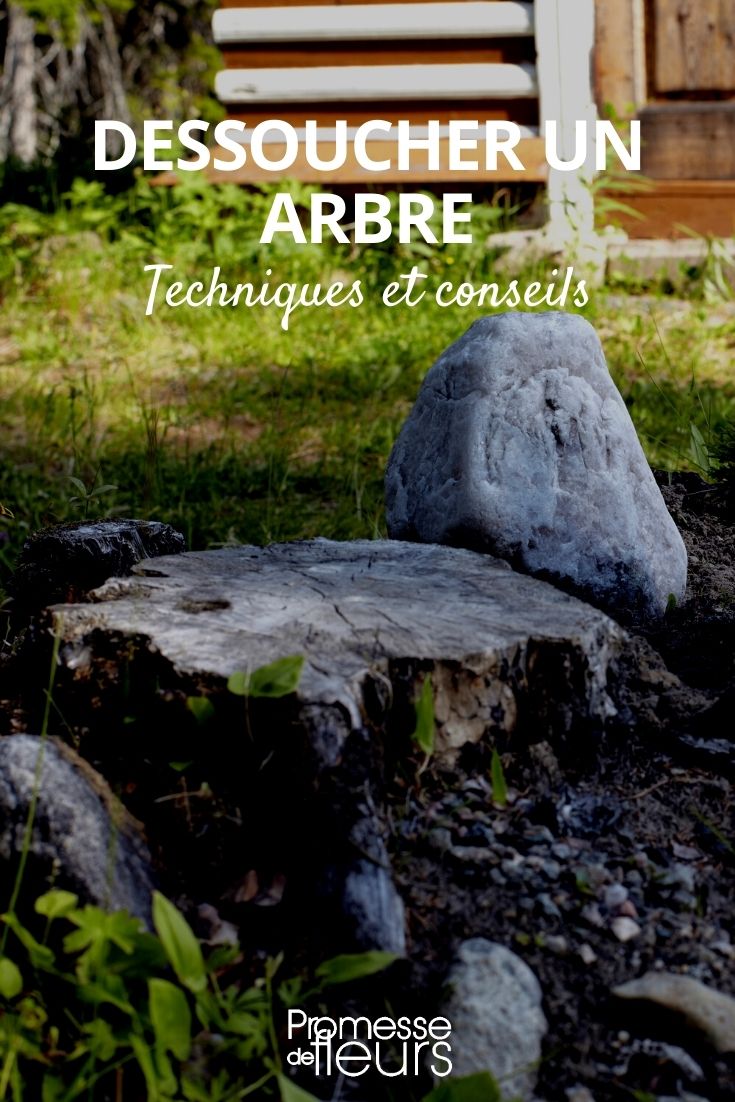 Comment utiliser un tire-fort pour arracher un arbre ou une souche ?