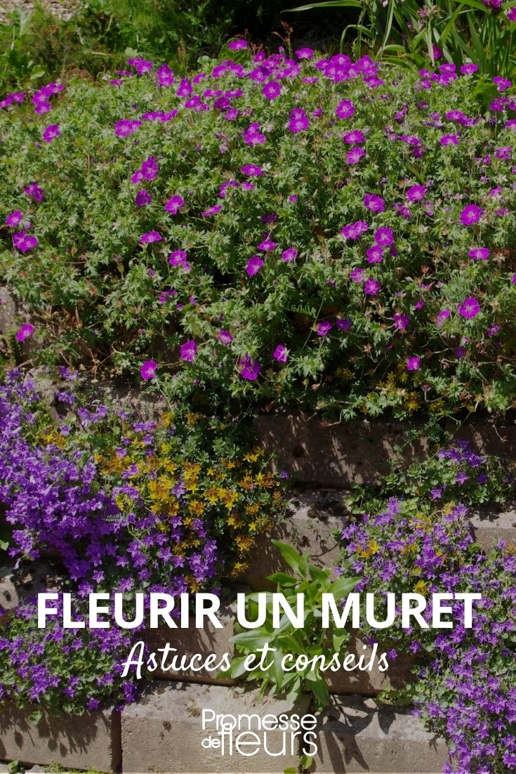 faire un muret fleuri