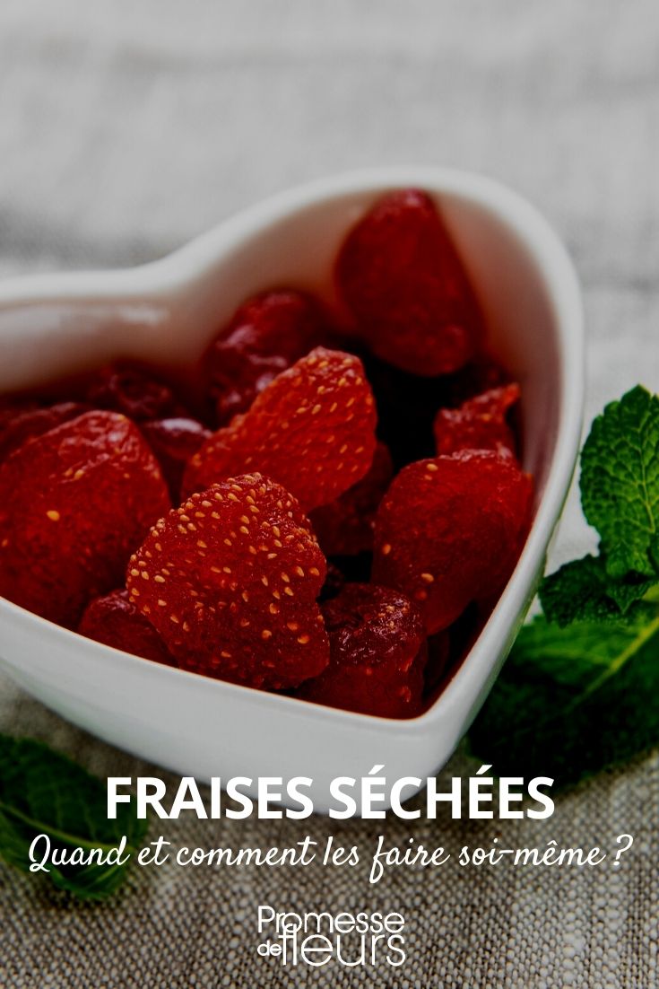 faire des fraises séchées