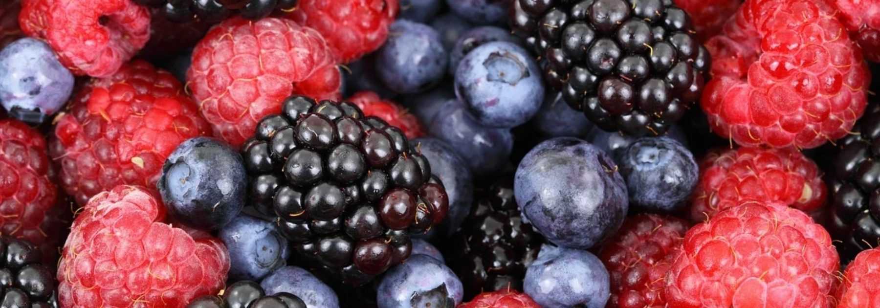 5 petits fruits rouges pour débutants