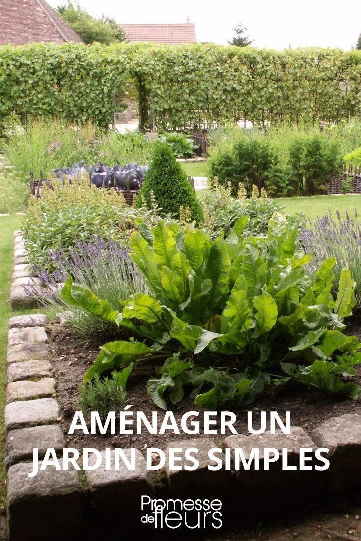 aménager un jardin de simples