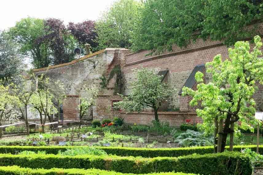 plantes medicinales pour jardin des simples, amenager jardin des simples, jardin des simples moyen-age, jardin médiéval