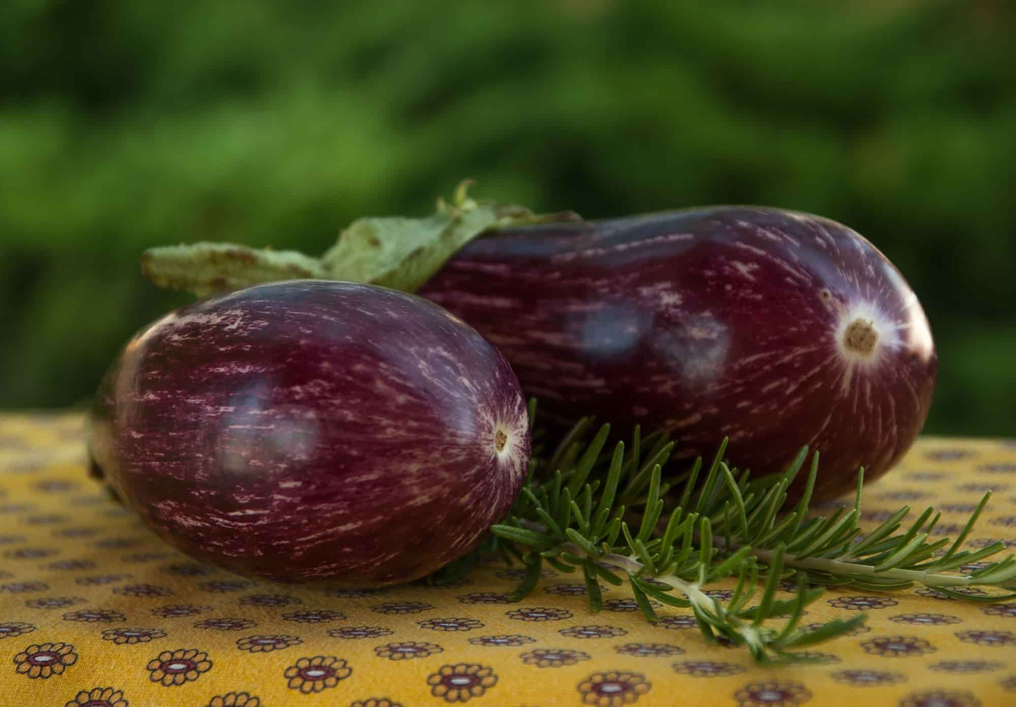 Faire un potager en région méditerranéenne