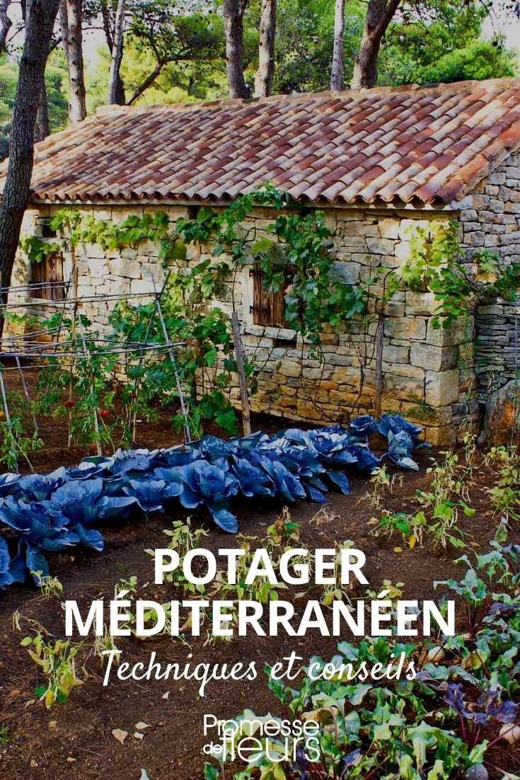 Réaliser un carré potager en permaculture - France Bleu