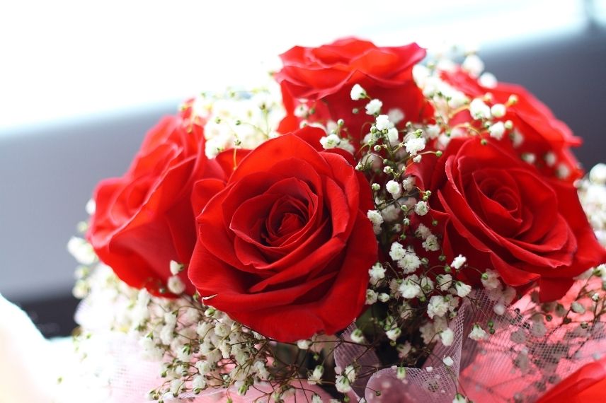 bouquet de roses rouge gypsophile