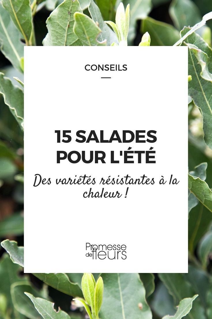 15 assiettes d'été pour une table estivale - Marie Claire