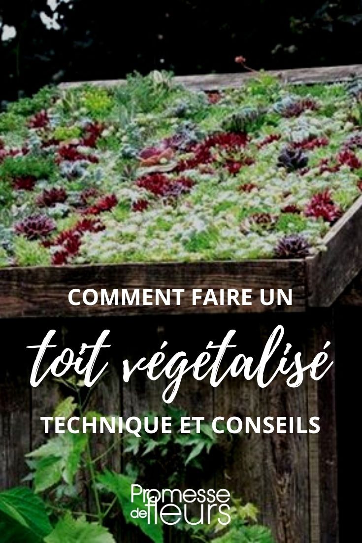 faire une toiture végétalisée