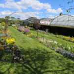 Visite du jardin de l'Ecole du Breuil au printemps