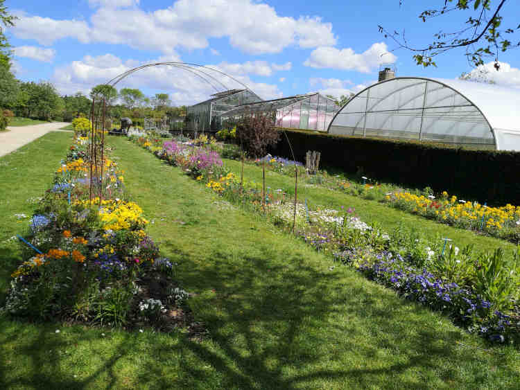 Visite du jardin de l'Ecole du Breuil au printemps