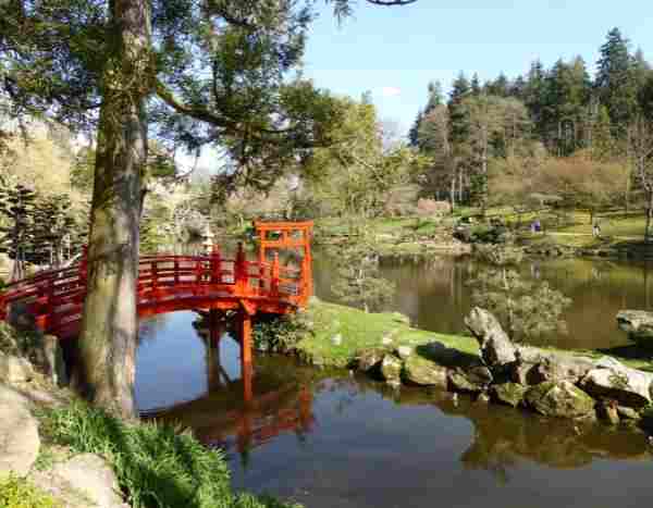 Le Parc oriental de Maulévrier : quand le Japon s'invite en Anjou...