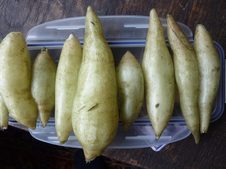 10 légumes insolites et curieux - Promesse de Fleurs