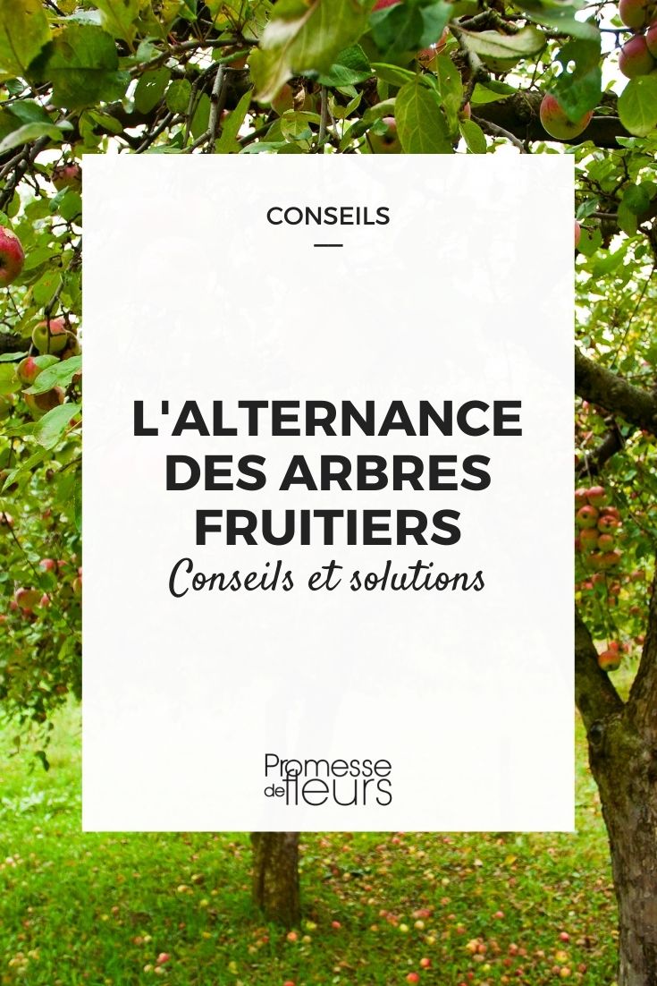 L'alternance des arbres fruitiers