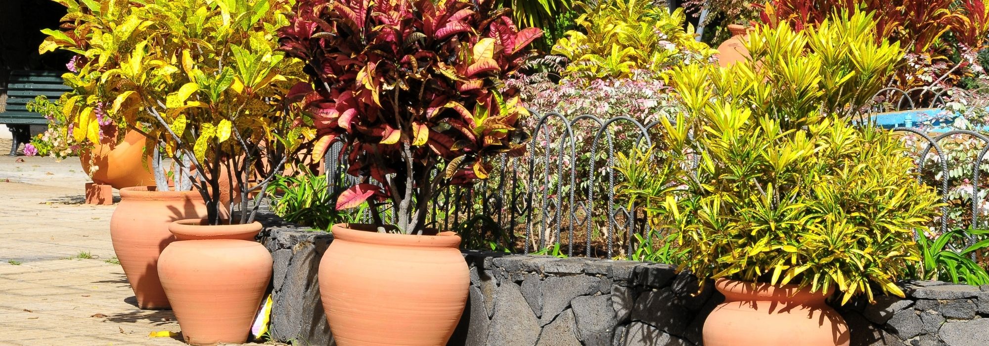 Lot 2 Pots Fleurs 20 3 Cm Jardinières Plantes D'intérieur - Temu France