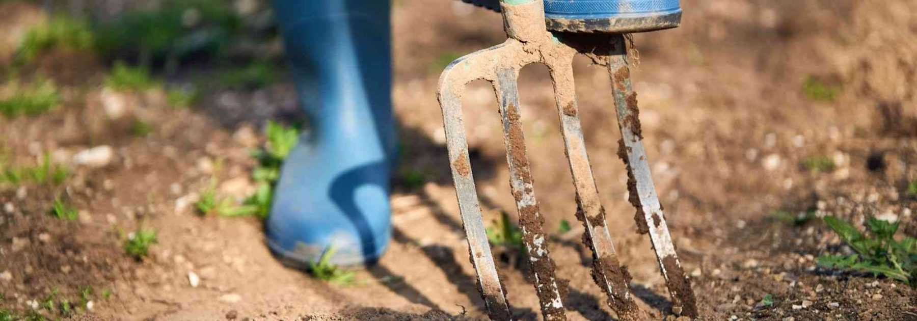 Comment bêcher une terre trop dure ?