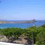 Faire un potager en bord de mer