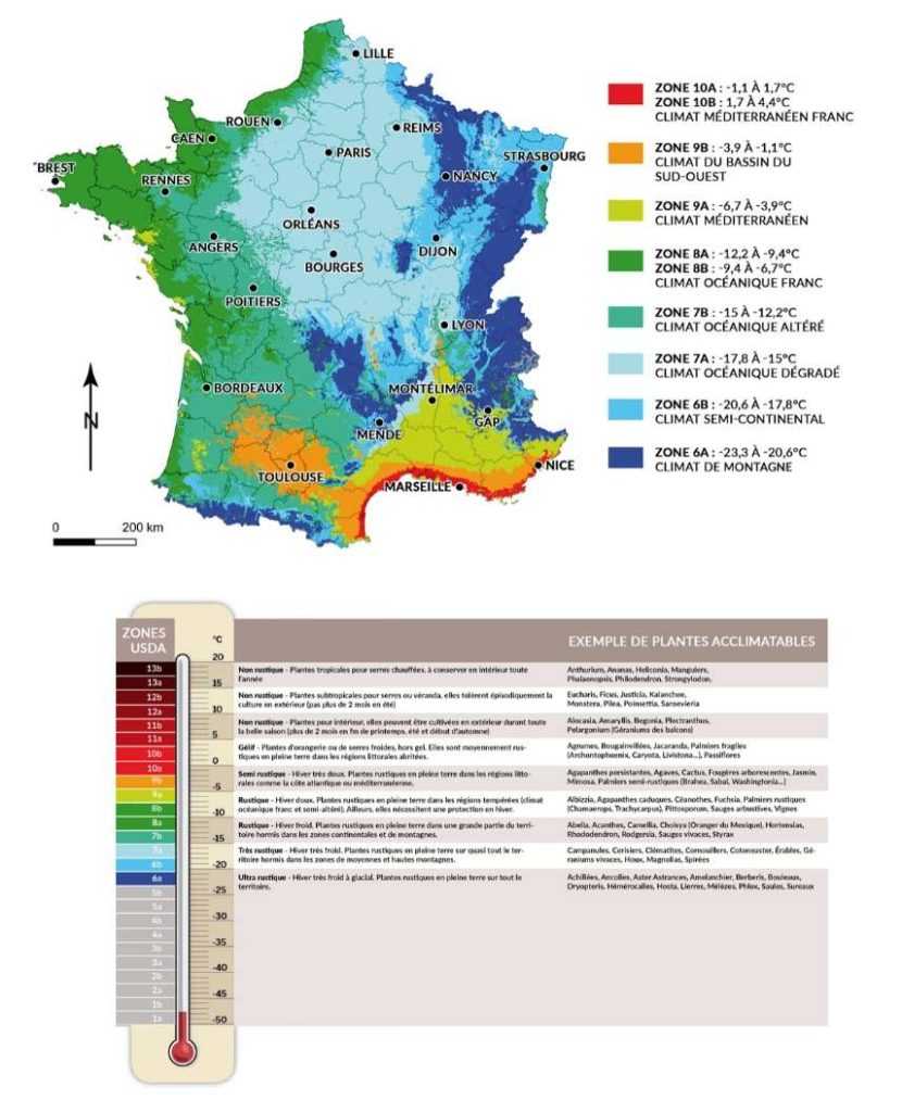 definition zone oranger, zone de l'oranger qu'est-ce-que c'est, zone oranger à quoi correspond, zone oranger c'est quoi