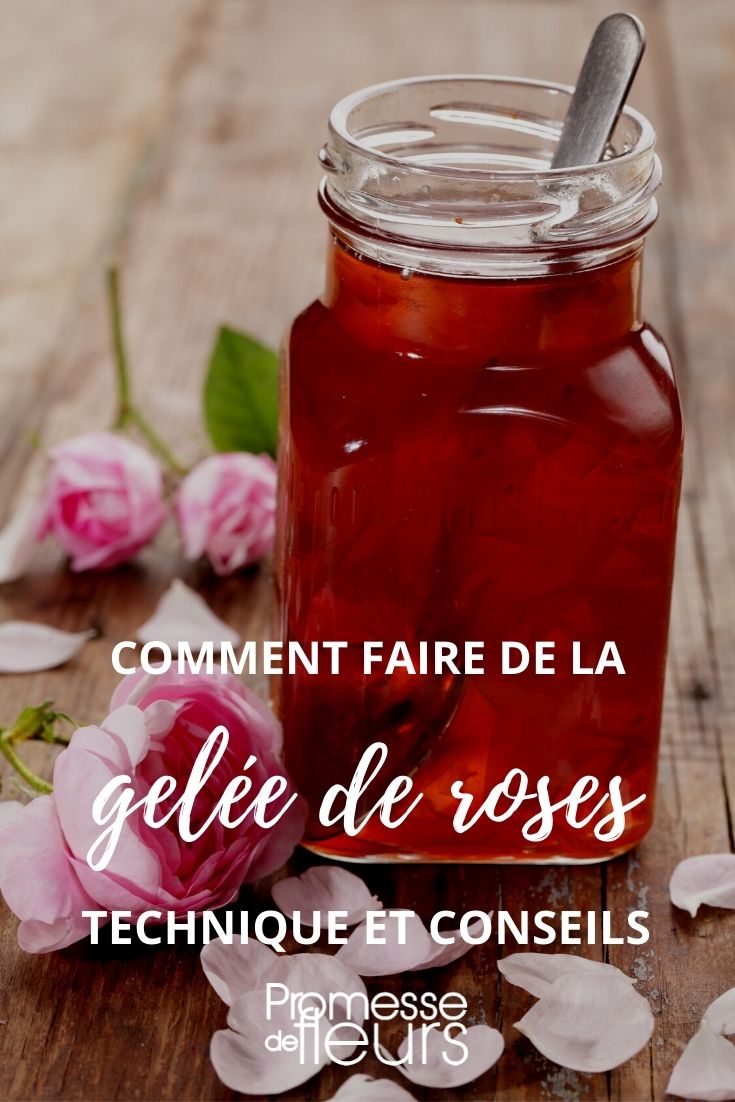 confiture de rose-tutoriel