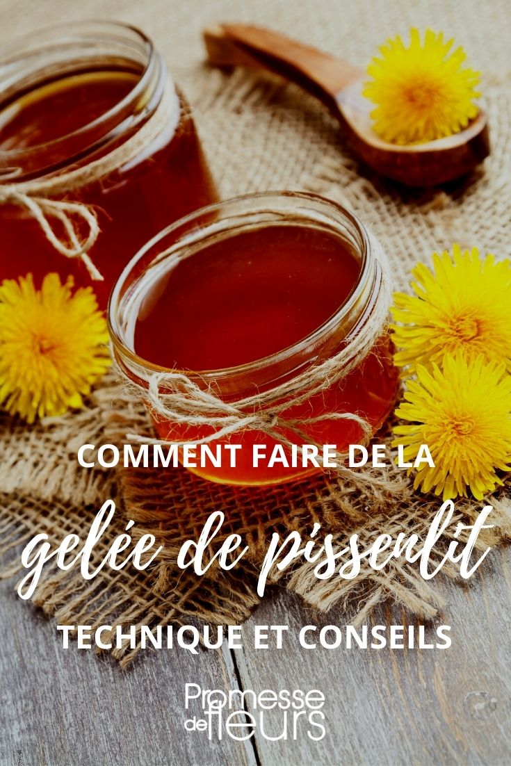 confiture de pissenlit