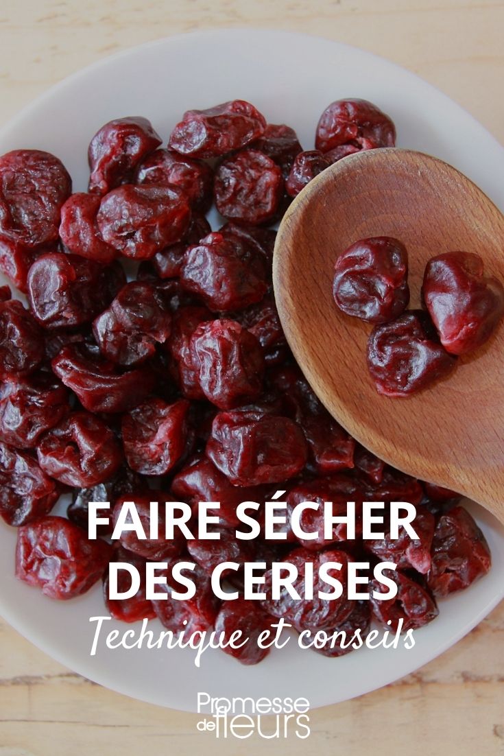 cerises séchées