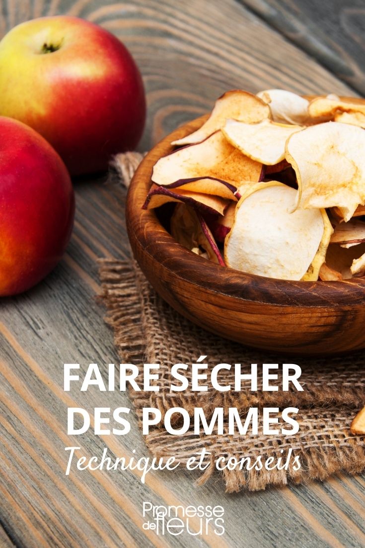 sécher des pommes