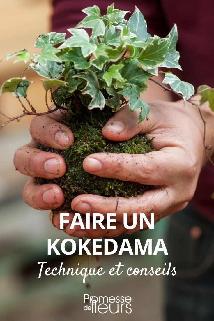 fabriquer un kokedama