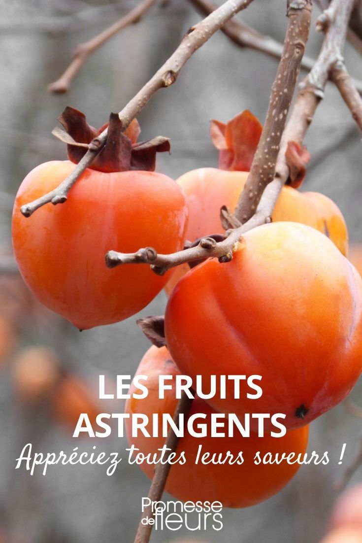 fruits astringents