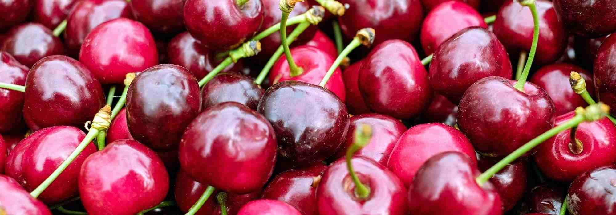 Comment faire des cerises séchées ?