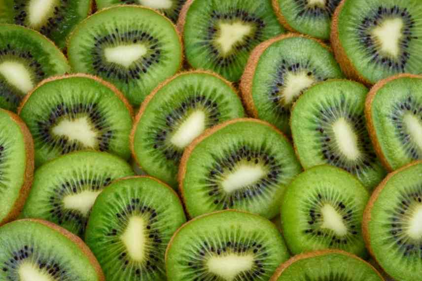 kiwi male ou femelle, kiwi distinguer fertile autofertile, Actinidia male ou femelle, kiwai