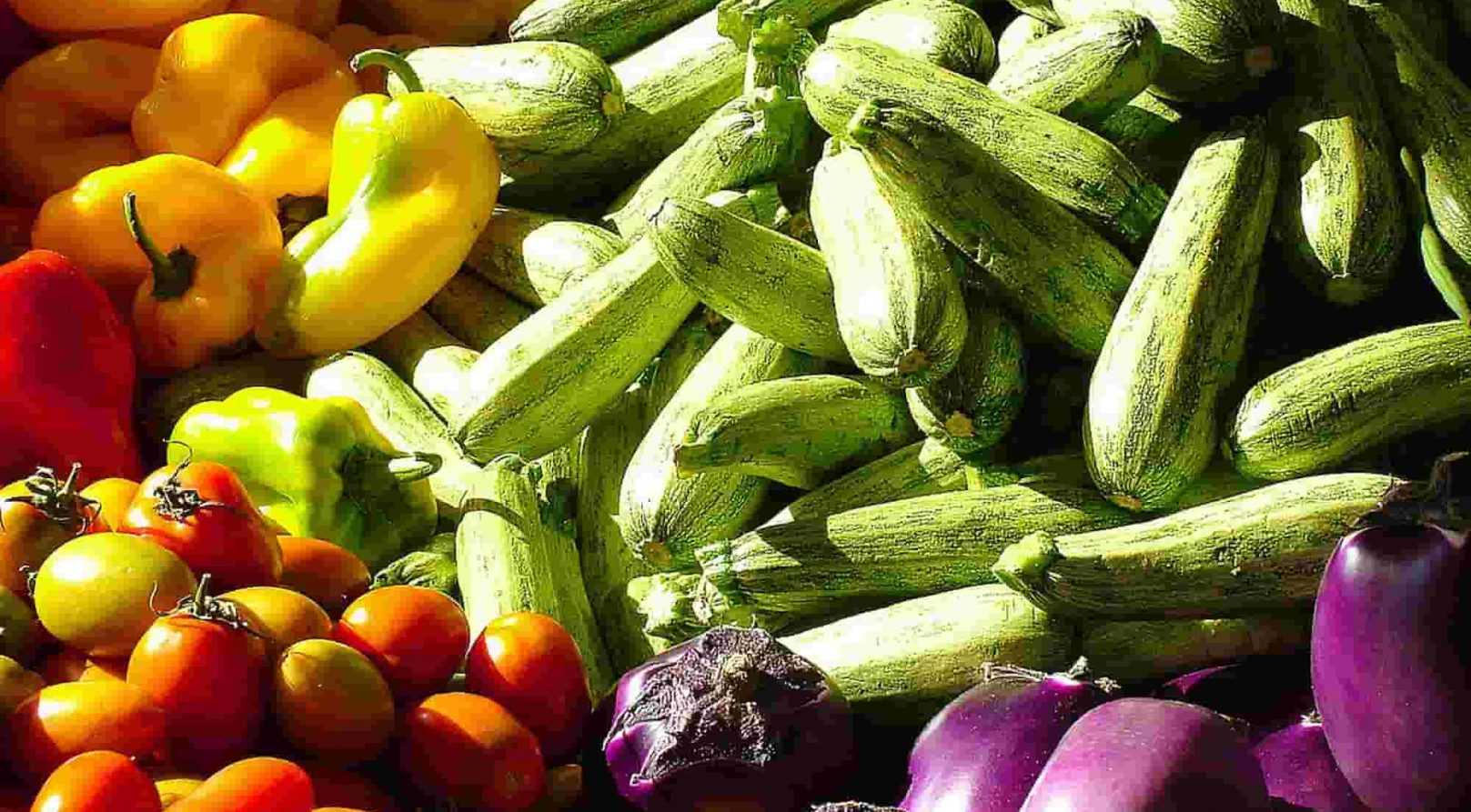 Potager dans le Midi : quels légumes cultiver ?