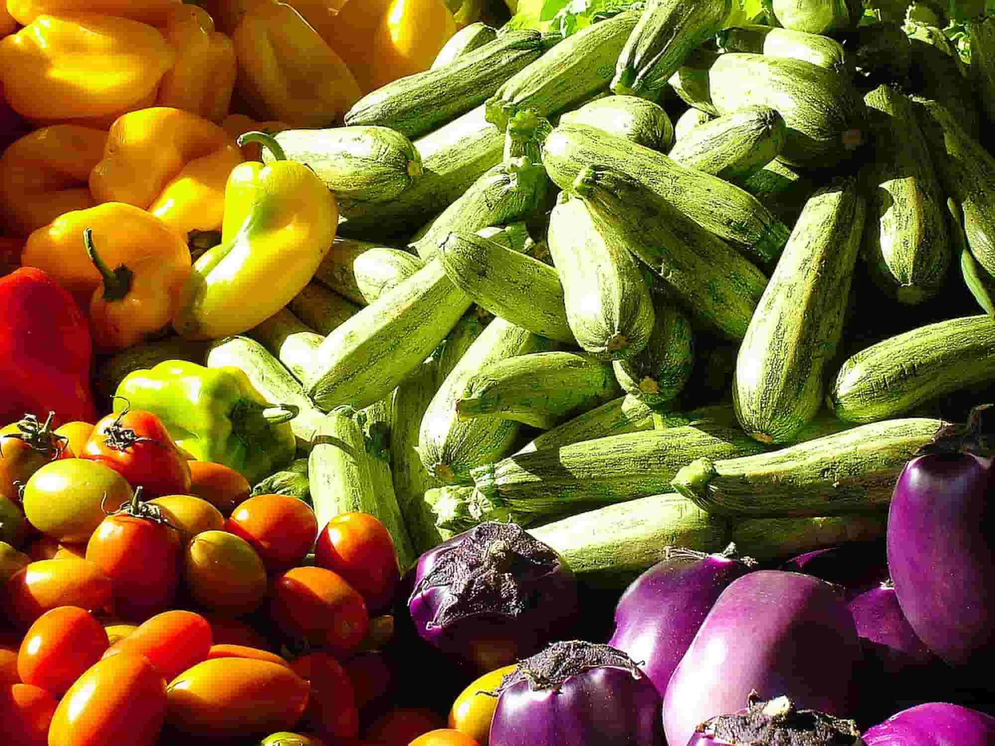 Potager dans le Midi : quels légumes cultiver ?
