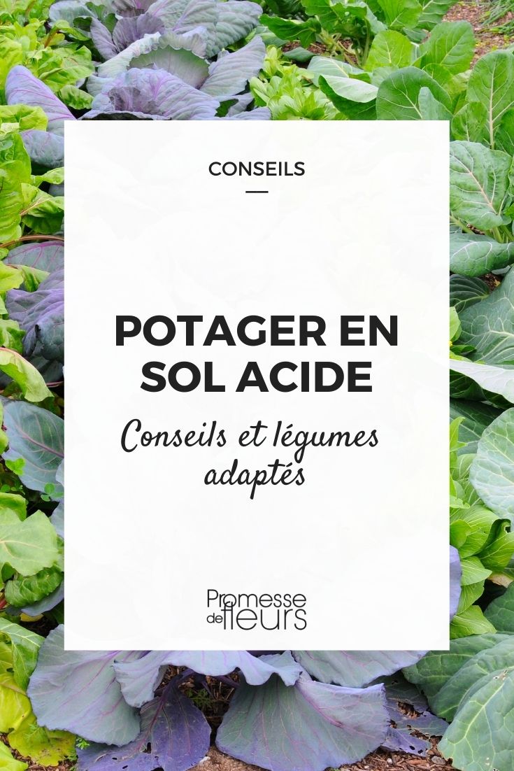 potager sol acide