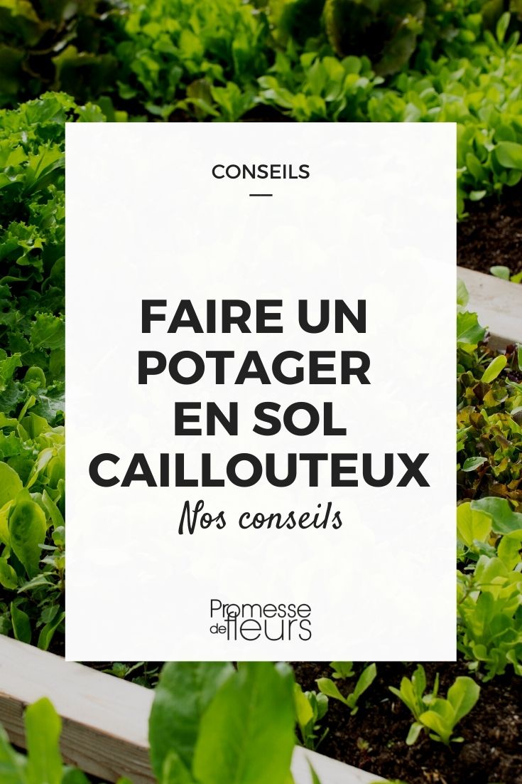 potager en sol caillouteux