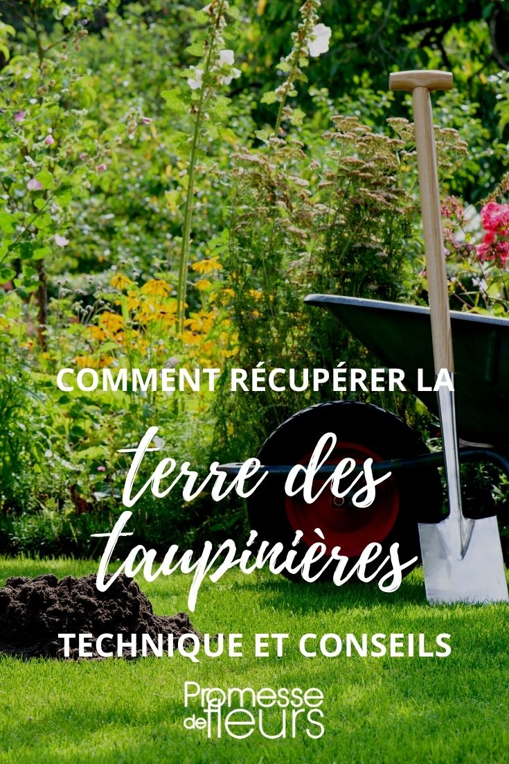 comment récupérer la terre des taupinière