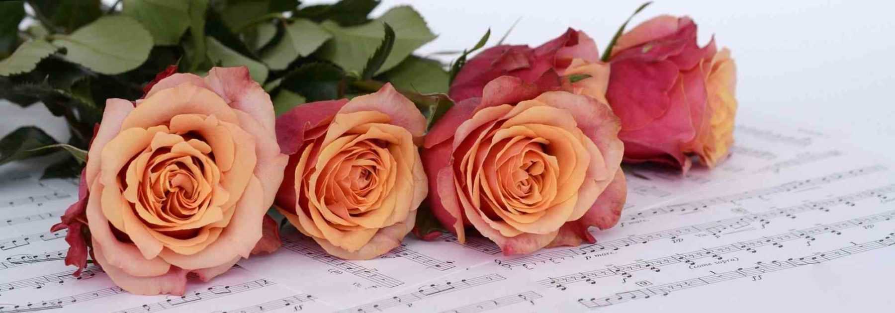 Les roses et la musique