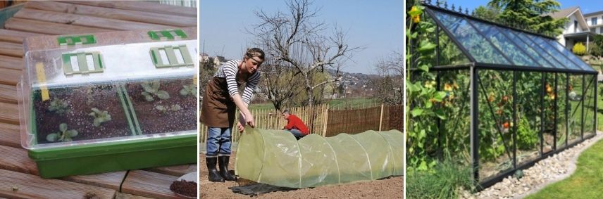 Serre de protection hivernale pour plantes gélives