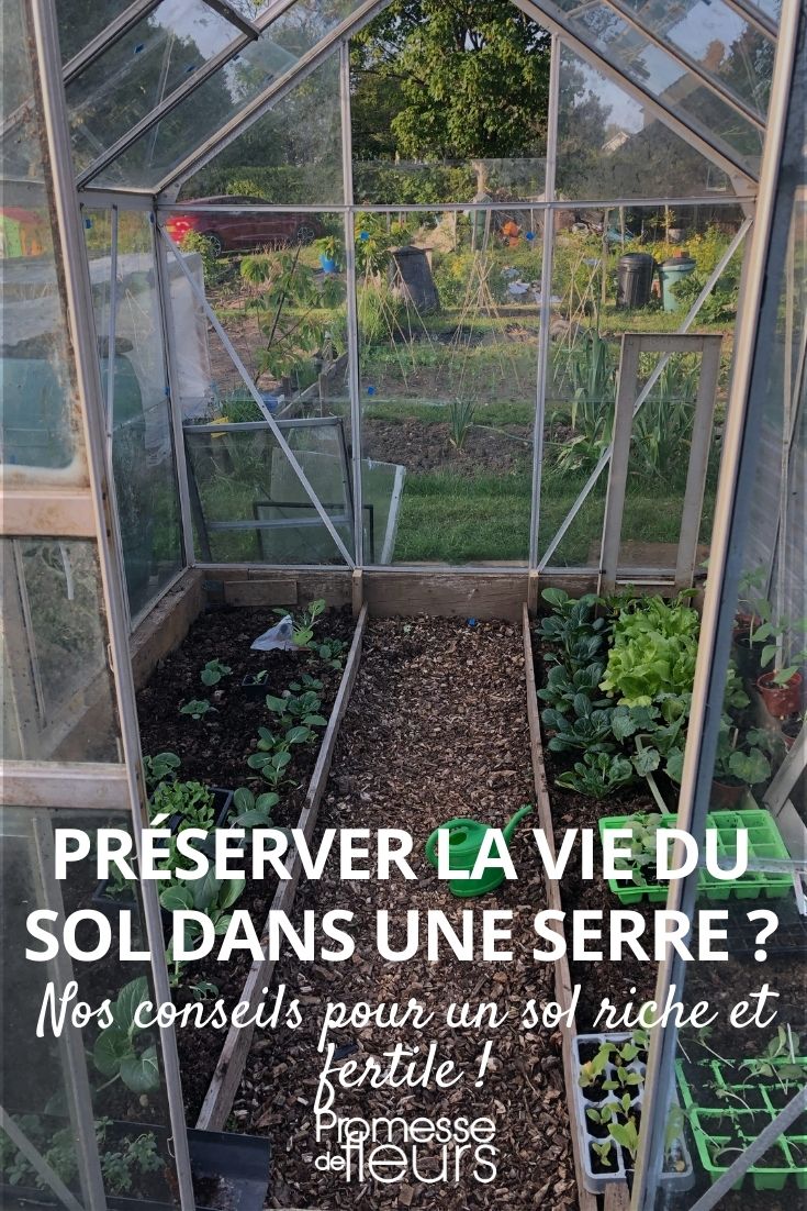 préserver la vie du sol dans une serre