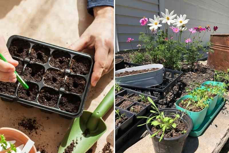 Grand tamis de jardin en cèdre pour compost, terre et terreau