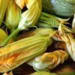 Faire des beignets de fleurs de courgettes