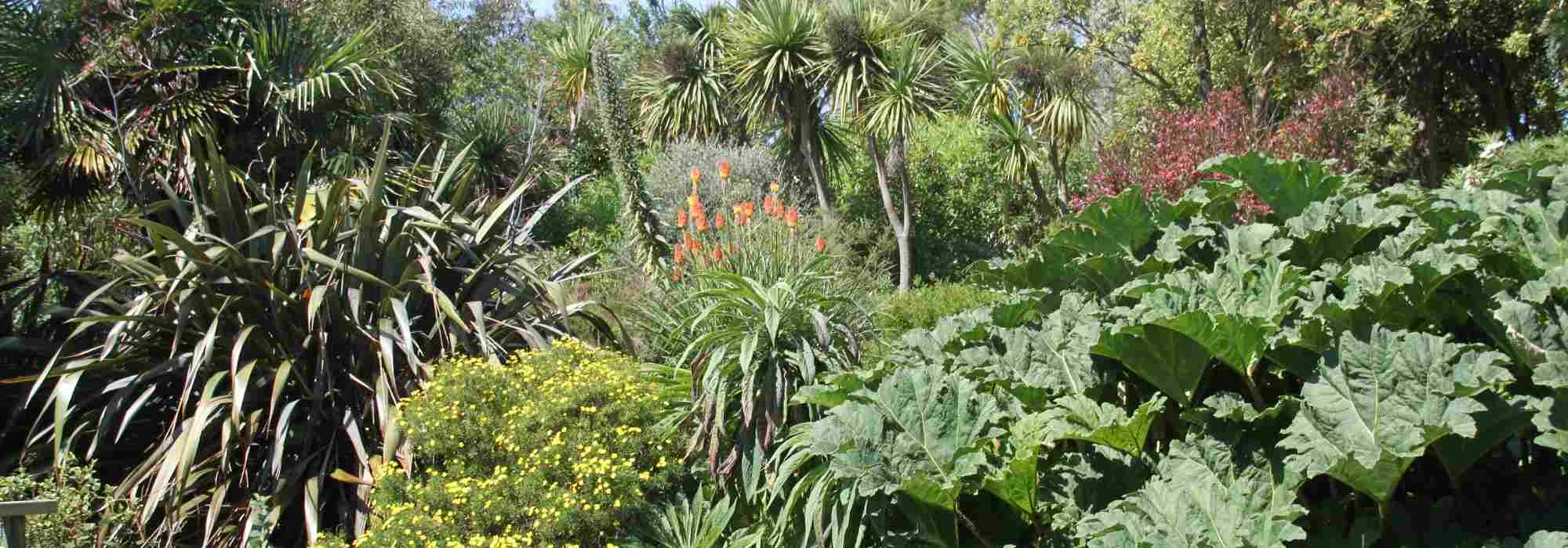 Touches de minéral pour jardin d'exception