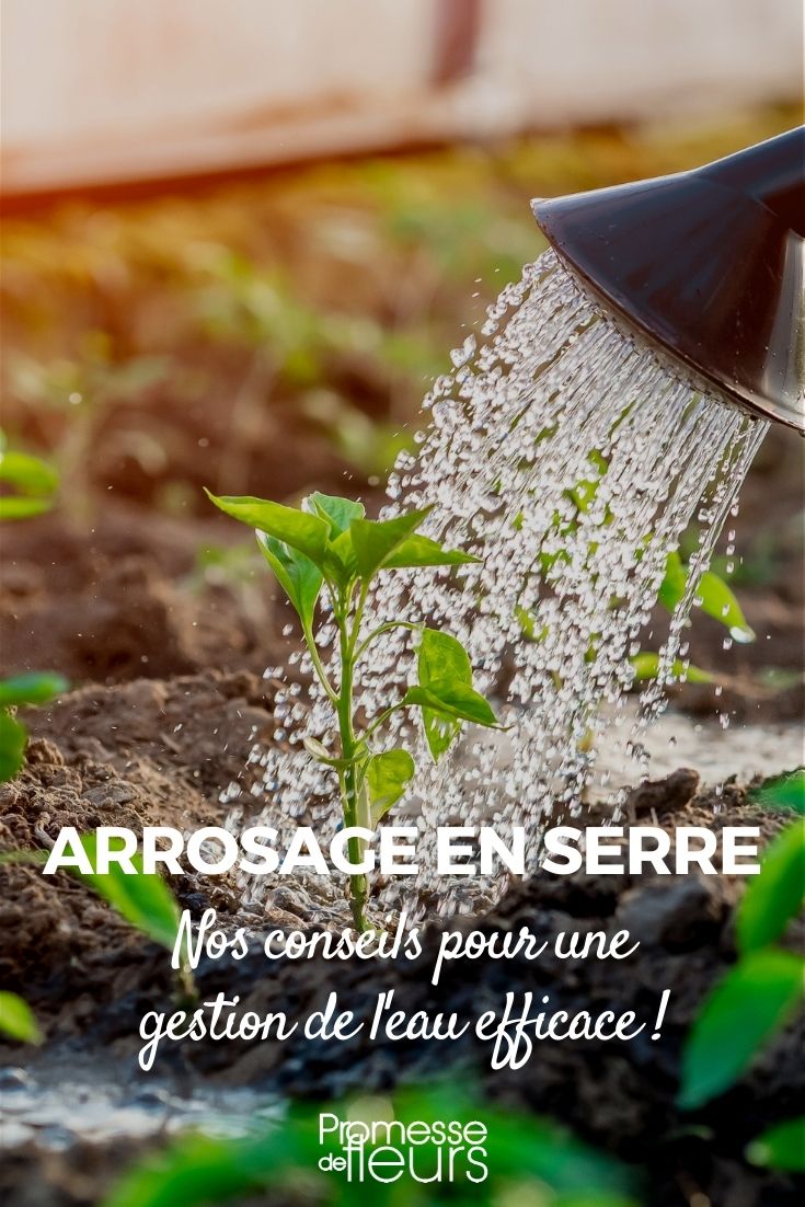 Comment arroser vos cultures sans pression d'eau ? - Blog Serresvaldeloire