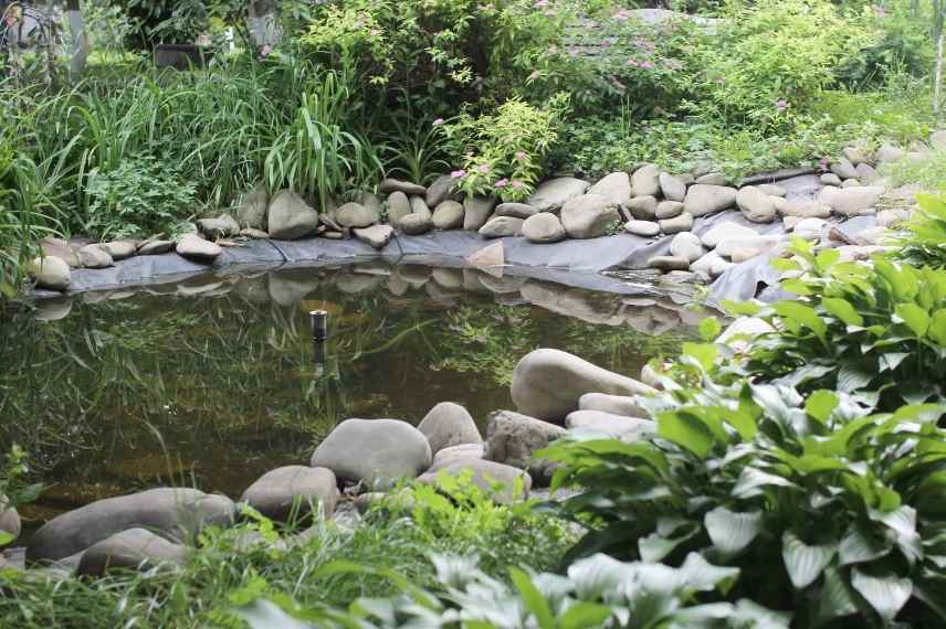 Comment choisir une bâche pour bassin ? - Blog Jardin Couvert - Conseils  jardinage et serres