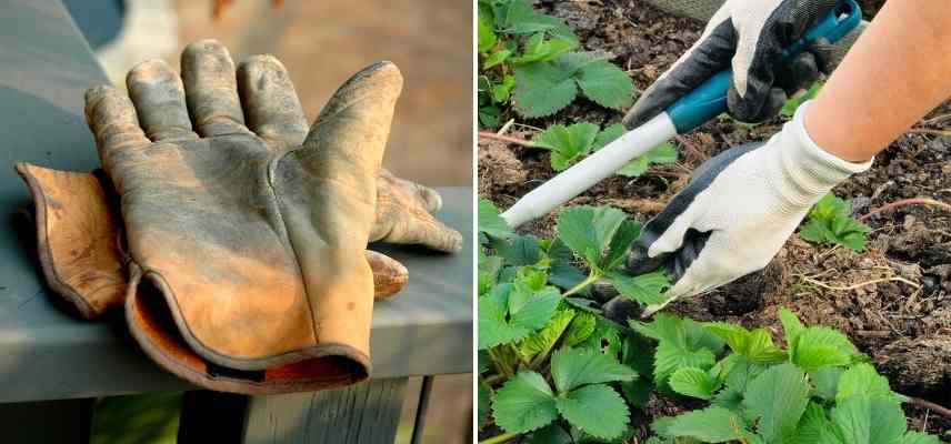 Gants jardinage : notre sélection des meilleures protections - Le