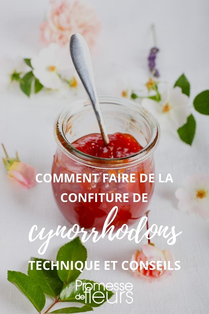 faire de la confiture de cynorhodons