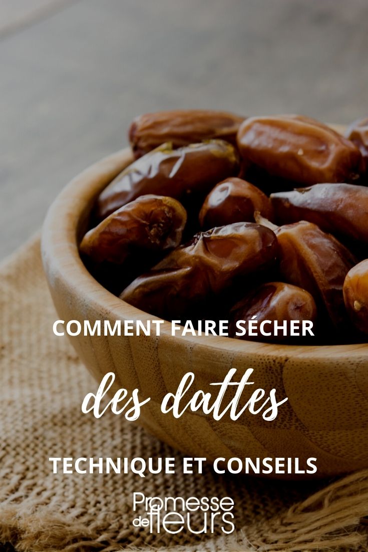 dattes fraiches séchées